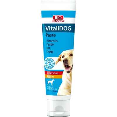 Bio PetActive Vitalidog Paste 100 ml