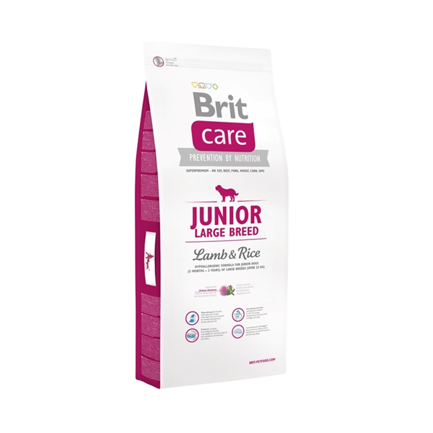 Brit Care Junior Large Kuzu Etli Büyük Irk Yavru Köpek Maması 3 Kg