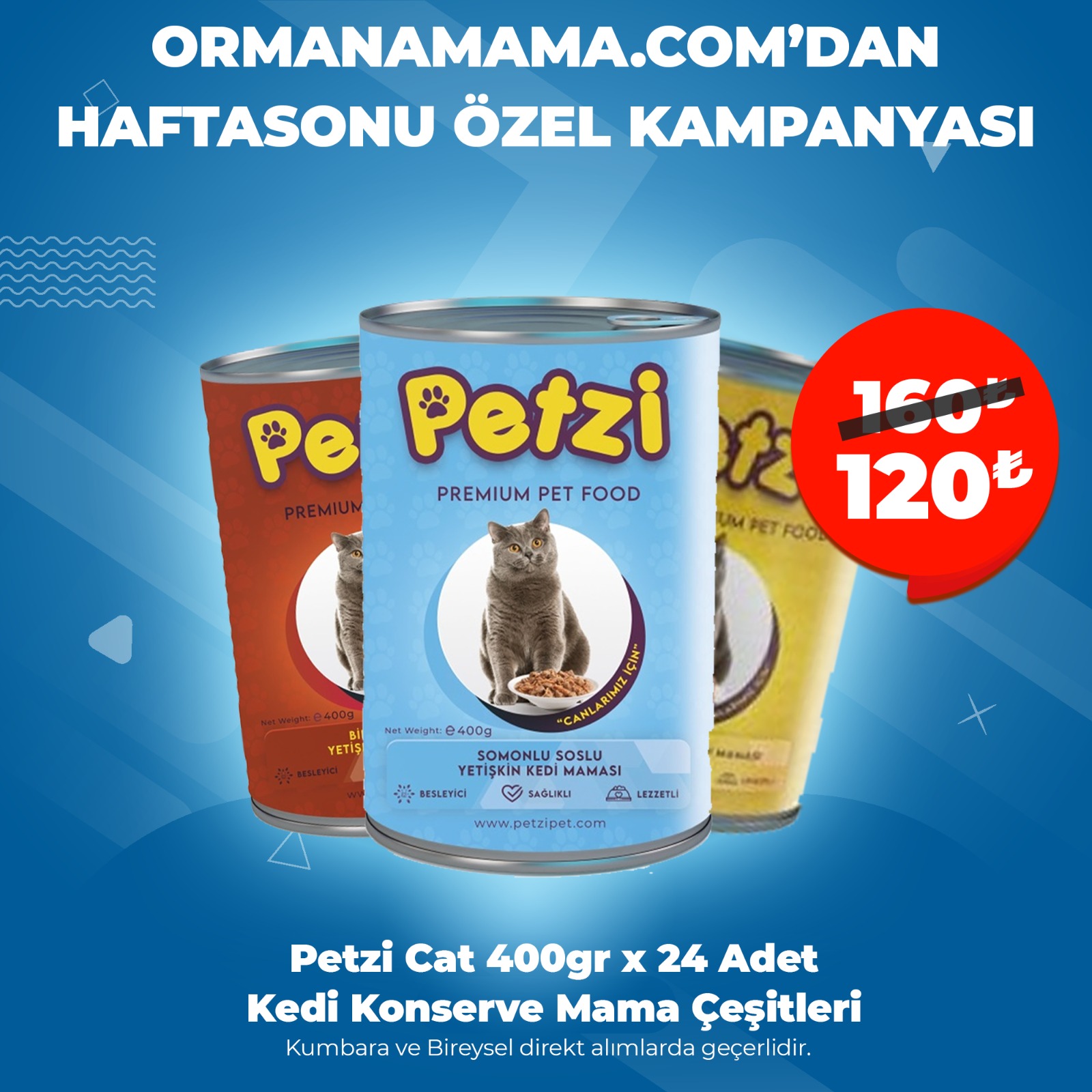 Petzi Cat Premium 400Gr x24 Adet Kedi Konserve Çeşitleri