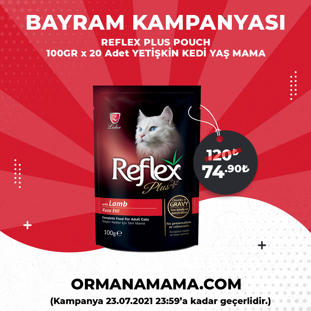 Reflex Plus Pouch 100 gr x 20 Adet Yaş Mama