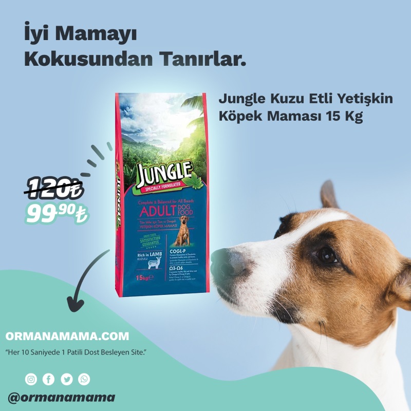 Jungle Kuzu Etli Yetişkin Köpek Maması 15 Kg