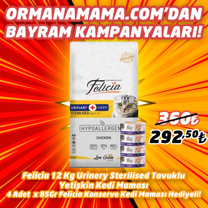 Felicia Urinary Sterilised Düşük Tahıllı Tavuklu Kısırlaştırılmış Yetişkin Kedi Maması 12 Kg 4 Adet 85 Gr Felicia Hediye