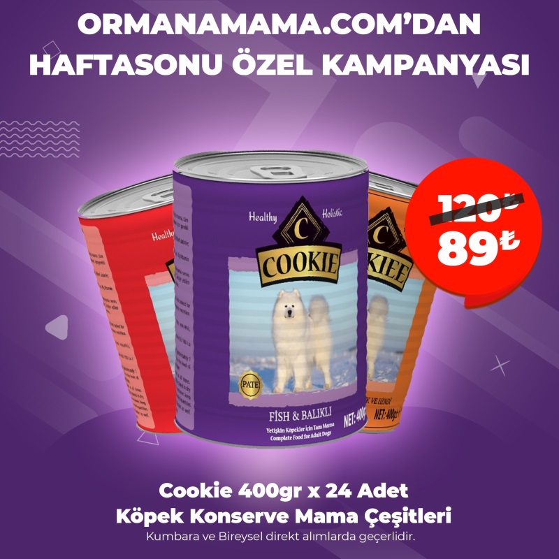 Cookie Köpek Konserve Mama Çeşitleri 400gr x 24 Adet