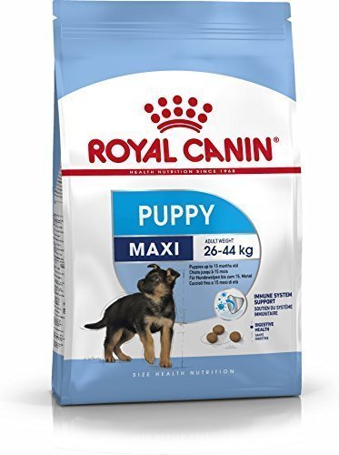 Royal Canin Maxi Puppy Büyük Irk Yavru Köpek Maması 15 Kg