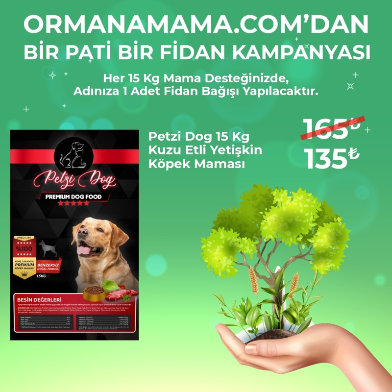 Petzi Dog Kuzu Etli 15 Kg Yetişkin Köpek Maması (Fidan Hediyeli)