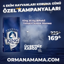 King 20 Kg Biftekli Yetişkin Köpek Maması