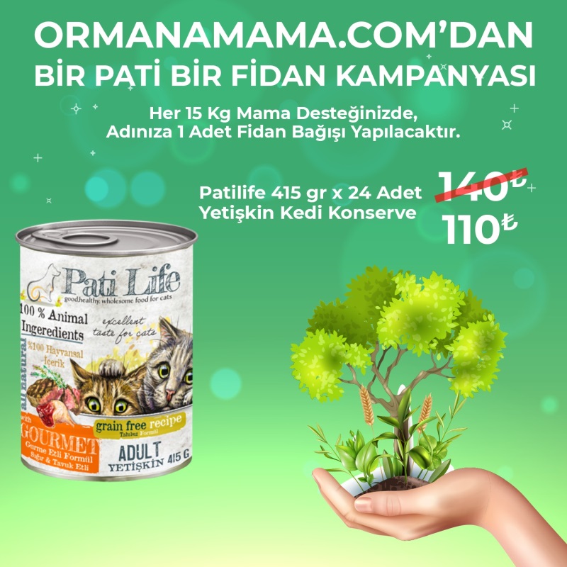 Pati Life Kedi Konservesi 405 Gr 24 Adet (Fidan Hediyeli)