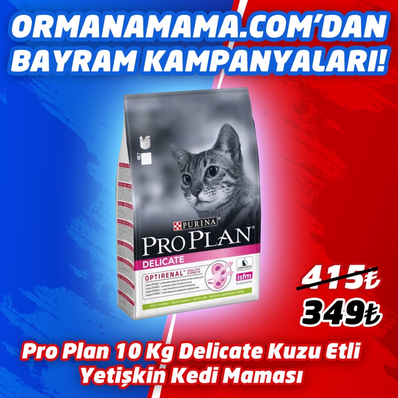 proplan Delicate Hassas Ve Seçici Yetişkin Kediler İçin Kuzu Etli Kedi Maması 10 Kg