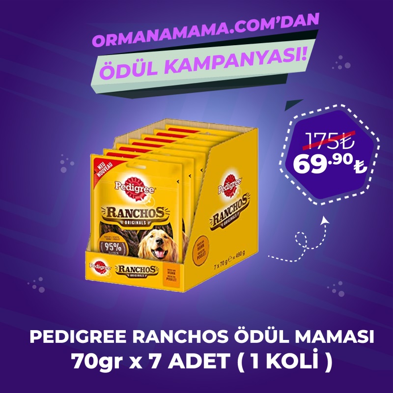 Pedigree Ranchos Etli Ödül Maması 70 gr x 7 Adet (1Koli)