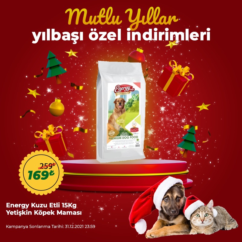 Energy 15 Kg Kuzu Etli Yetişkin Köpek Maması