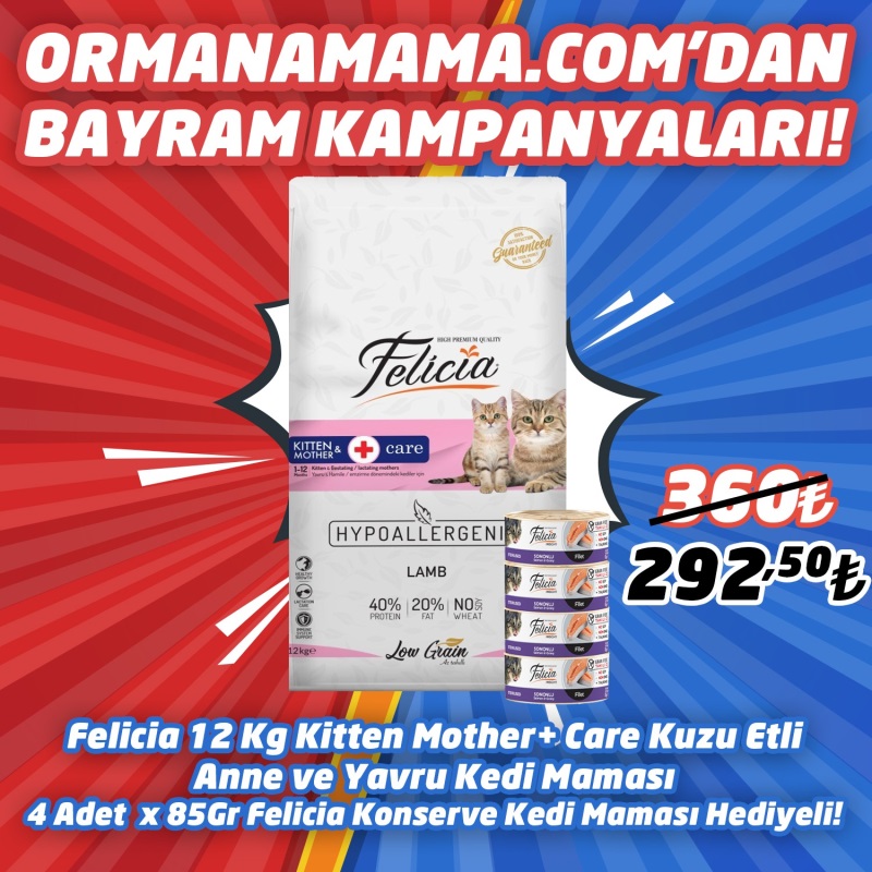 Felicia High Premium Kuzu Etli Anne ve Yavru Kedi Maması 12 Kg  4 adet Felicia 85 Gr Konserve Hediye