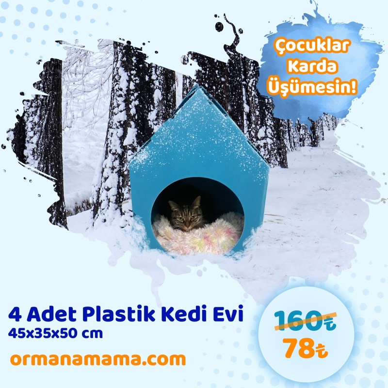 4 Adet Plastik Kedi Evi