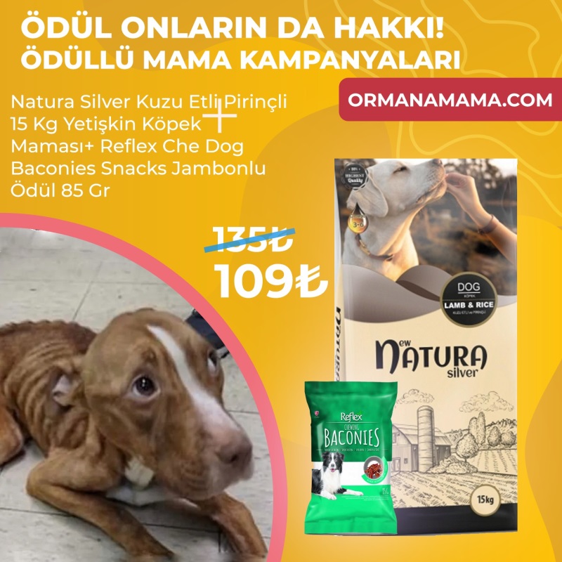 Natura Silver Kuzu Etli Pirinçli 15 Kg Yetişkin Köpek Maması+ Reflex Che Dog Baconies Snacks Jambonlu Ödül 85 Gr  Ödül Maması Hediyeli!