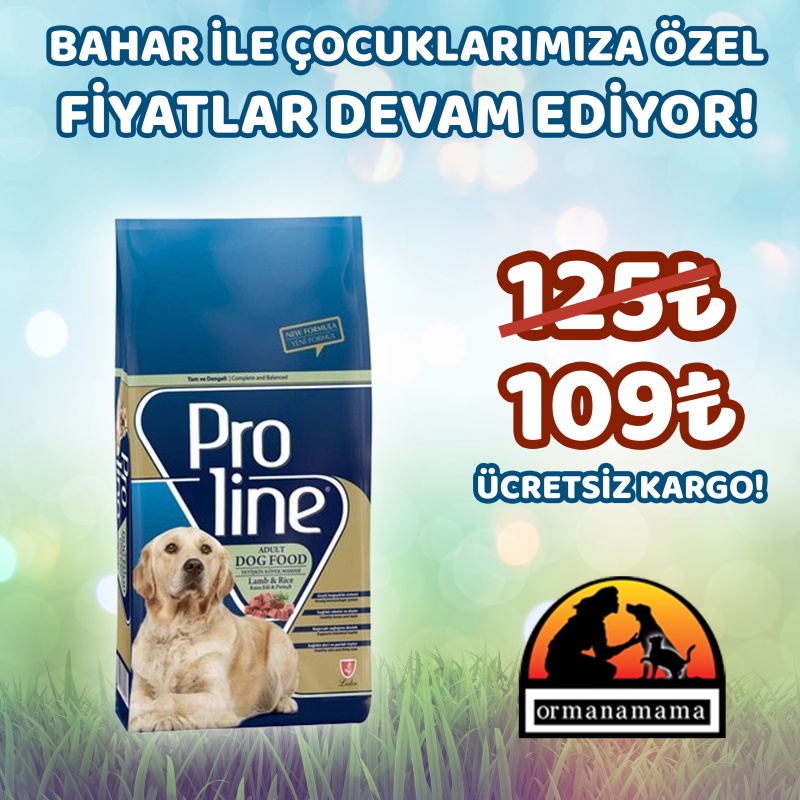 Proline Kuzu Etli Yetişkin 15 Kg Köpek Maması