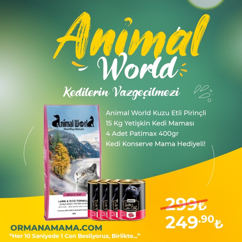 Animal World Adult Cat Kuzu Etli ve Pirinçli Kedi Maması 15 Kg + 4 Adet Patimax Kedi Konserve Hediye