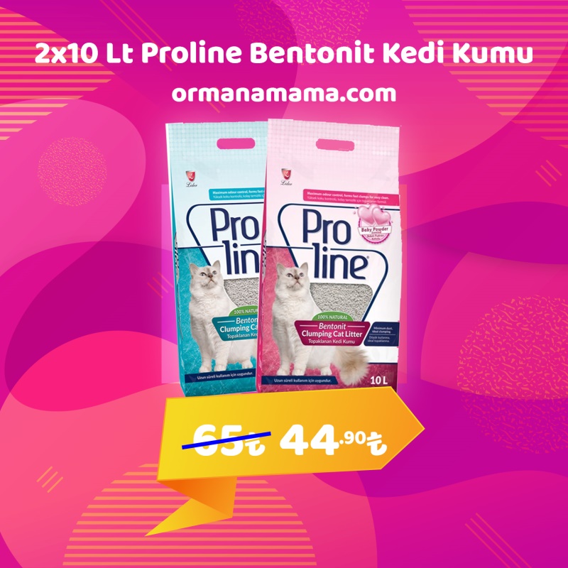 Proline Bentonit Kedi Kumu 10Lt x 2 Adet