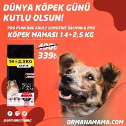 Proplan Dog Adult Sensitive Somonlu Pirinçli Yetişkin Köpek Maması 14+2.5Kg